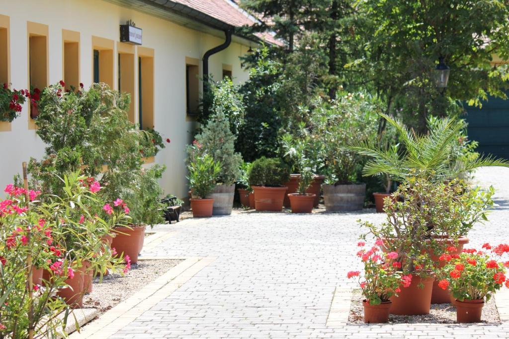 Levanda Panzio Kophaza Ngoại thất bức ảnh