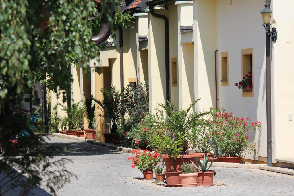 Levanda Panzio Kophaza Ngoại thất bức ảnh